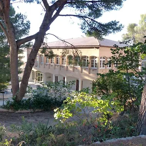 Des Joncas , Martigues France
